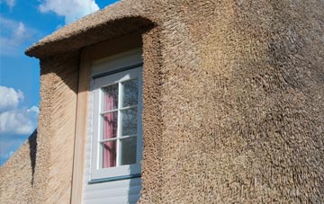 Bushby thatch roof disadvantages